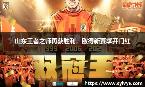 NG体育下载