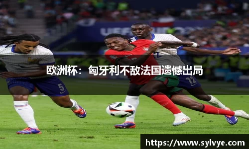 欧洲杯：匈牙利不敌法国遗憾出局