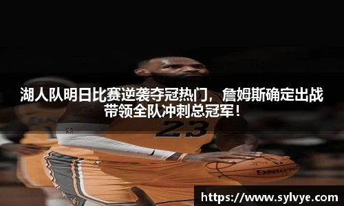 NG体育网址