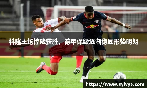 NG体育官网