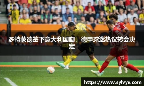 多特蒙德签下意大利国脚，德甲球迷热议转会决定