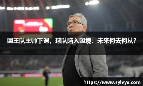 NG体育下载