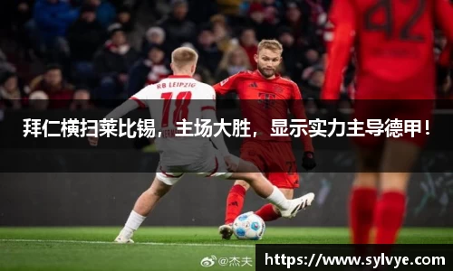 NG体育官网