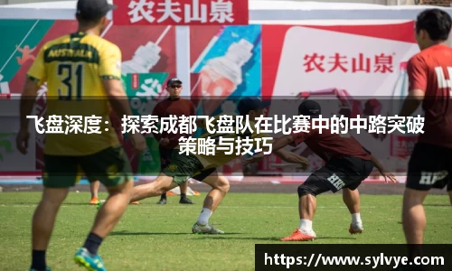 飞盘深度：探索成都飞盘队在比赛中的中路突破策略与技巧