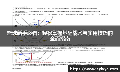篮球新手必看：轻松掌握基础战术与实用技巧的全面指南