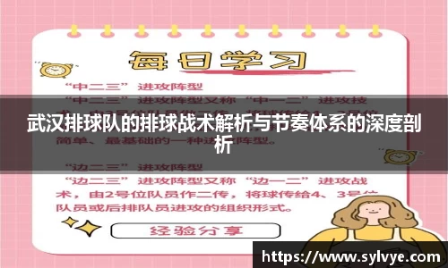 NG体育官网