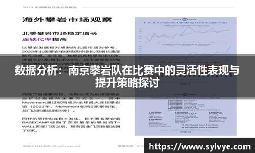 数据分析：南京攀岩队在比赛中的灵活性表现与提升策略探讨