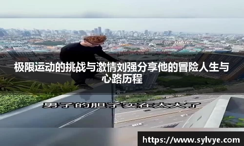 NG体育下载