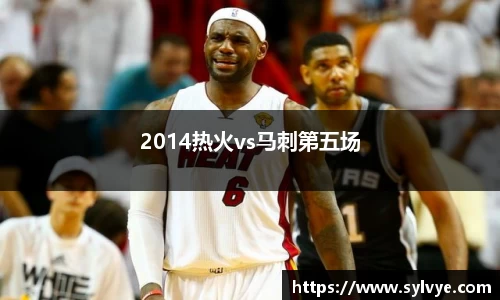 2014热火vs马刺第五场