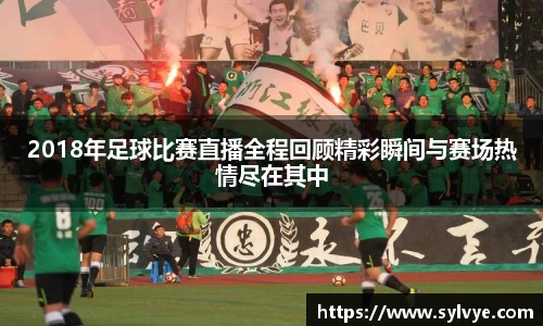 2018年足球比赛直播全程回顾精彩瞬间与赛场热情尽在其中