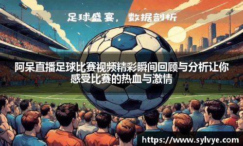 NG体育下载