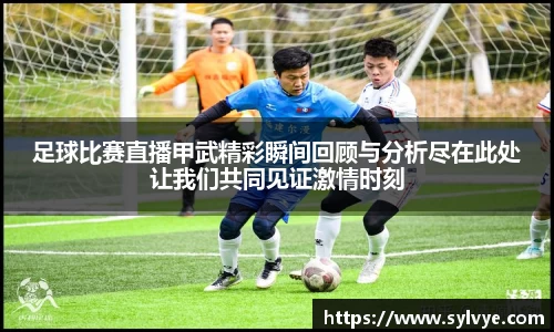 足球比赛直播甲武精彩瞬间回顾与分析尽在此处让我们共同见证激情时刻