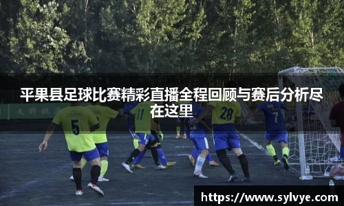 平果县足球比赛精彩直播全程回顾与赛后分析尽在这里