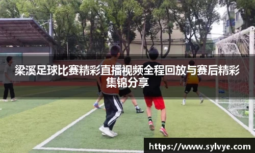 NG体育下载