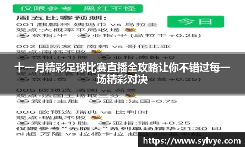 NG体育下载