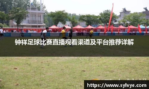 NG体育下载