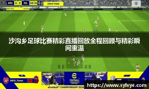 NG体育下载