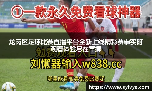 NG体育官网