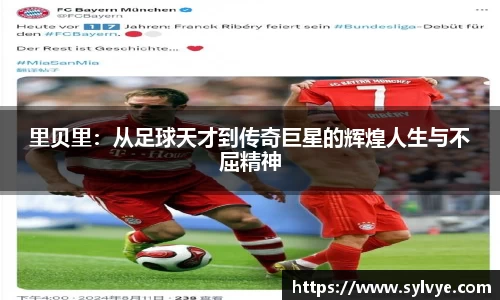 NG体育官网