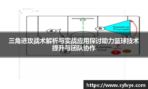 NG体育下载